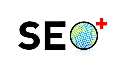 公司seo项目管理分析