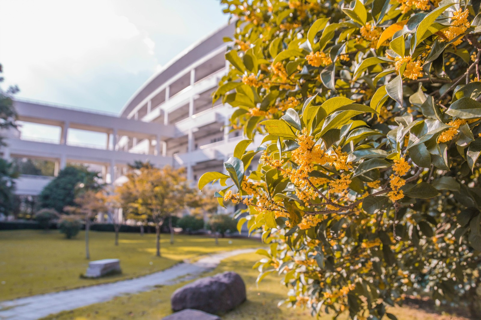 怎样开发一个校园生活服务类的APP？