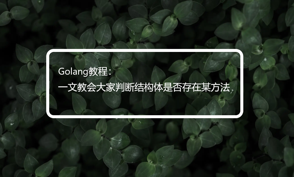 Golang教程：一文教会大家判断结构体是否存在某方法
