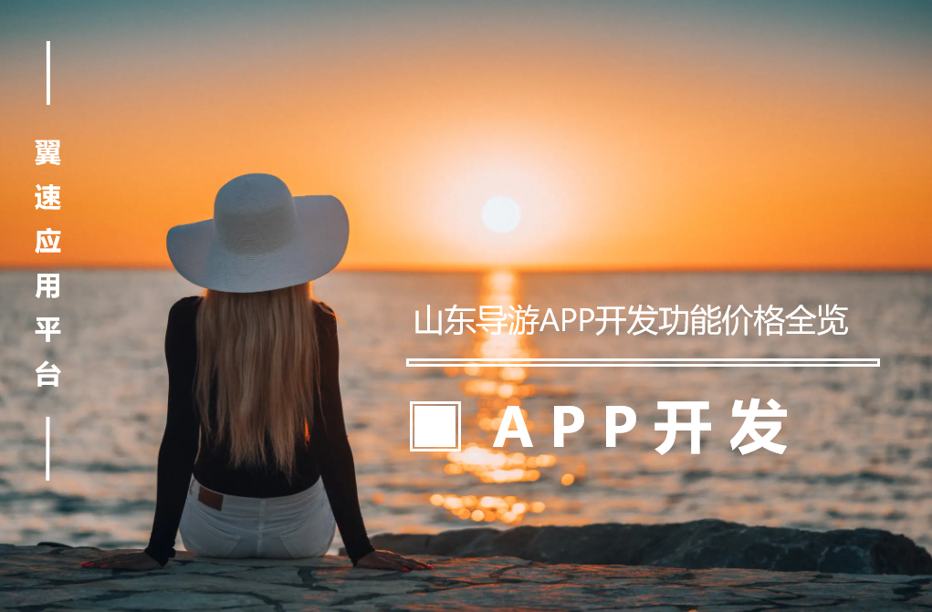 山东导游APP开发功能价格全览