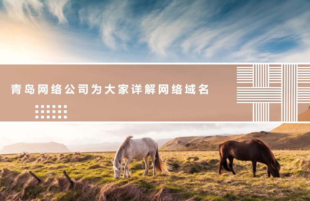 青岛网络公司为大家详解网络域名