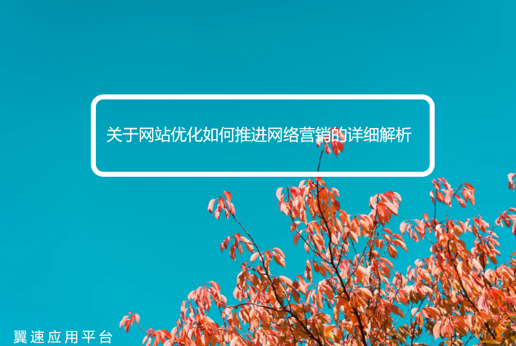 关于网站优化如何推进网络营销的详细解析