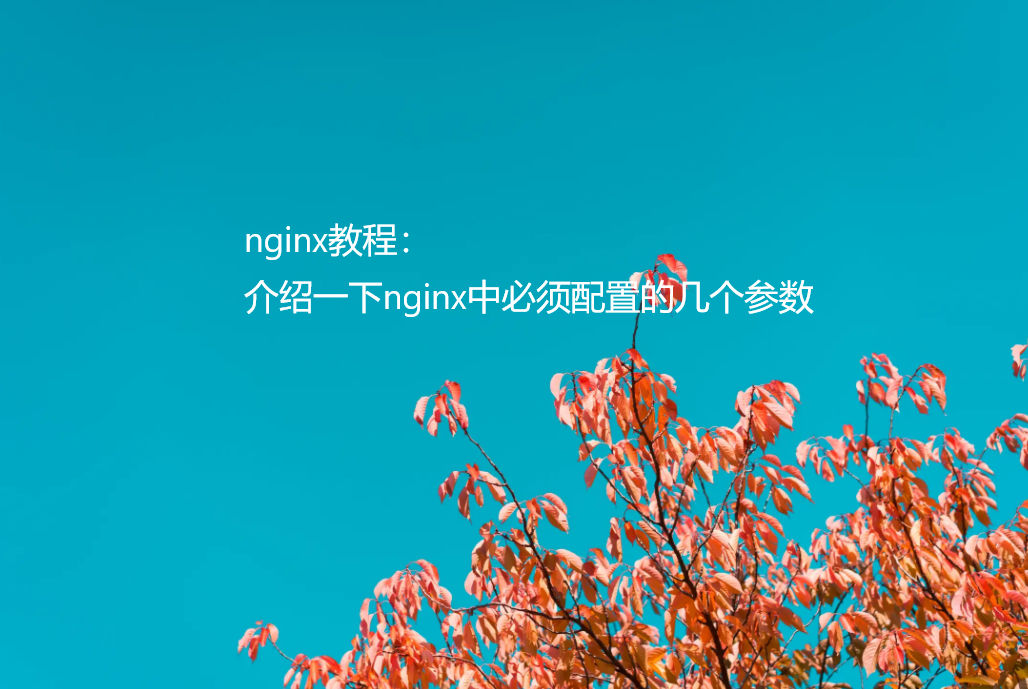 nginx教程：介绍一下nginx中必须配置的几个参数