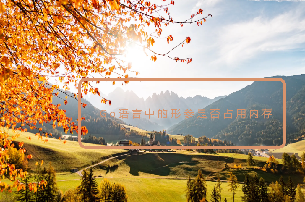  Go语言中的形参是否占用内存