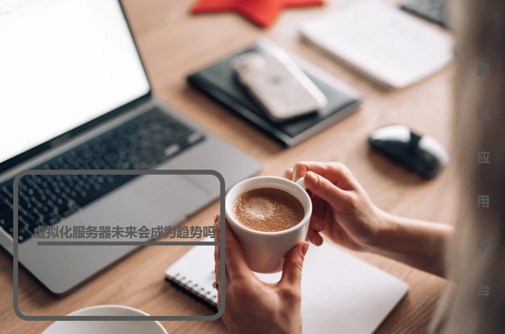 虚拟化服务器未来会成为趋势吗