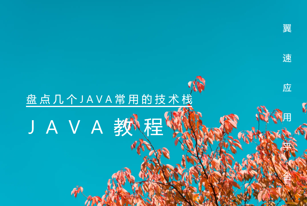 盘点几个JAVA常用的技术栈