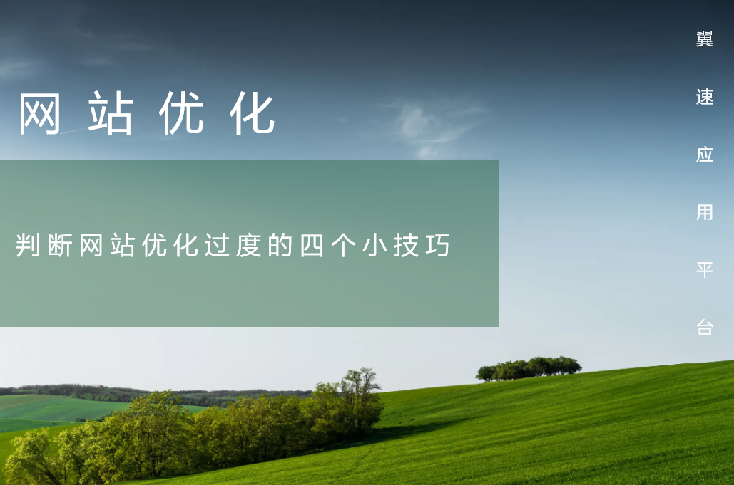 判断网站优化过度的四个小技巧