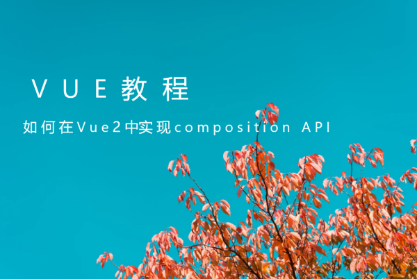 如何在Vue2中实现composition API
