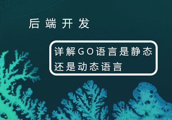 详解GO语言是静态还是动态语言
