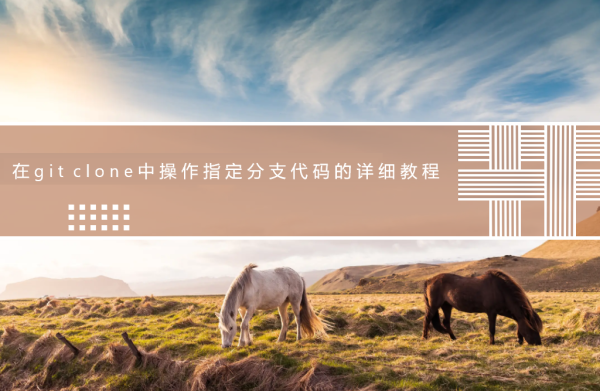 在git clone中操作指定分支代码的详细教程