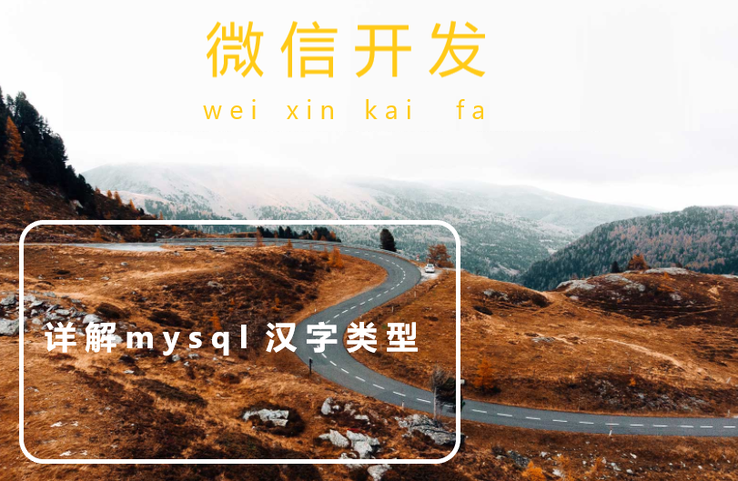 详解mysql 汉字类型