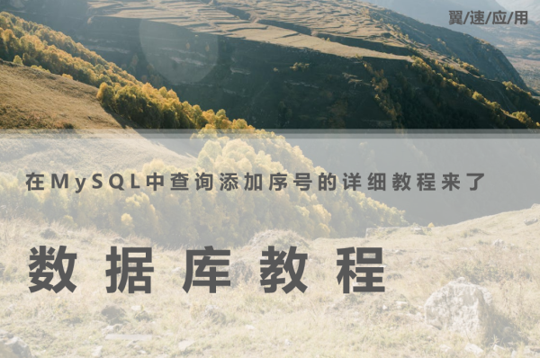 在MySQL中查询添加序号的详细教程来了