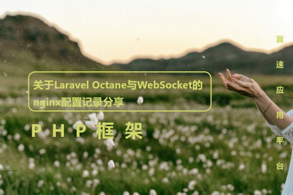 关于Laravel Octane与WebSocket的nginx配置记录分享