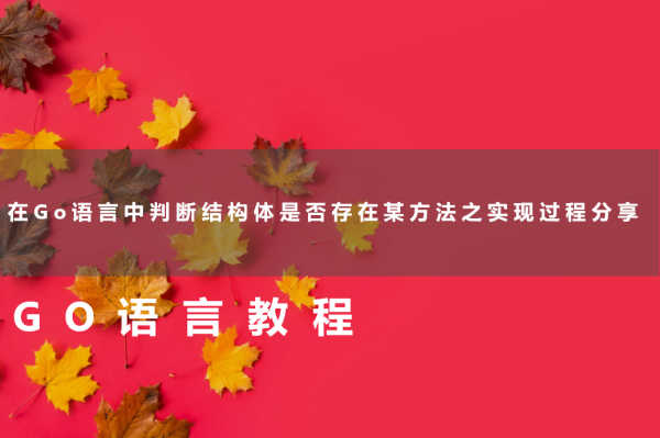 在Go语言中判断结构体是否存在某方法之实现过程分享