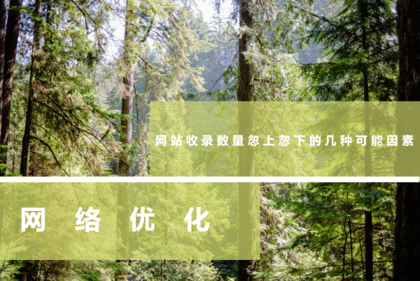 网站收录数量忽上忽下，可能是这几点原因导致