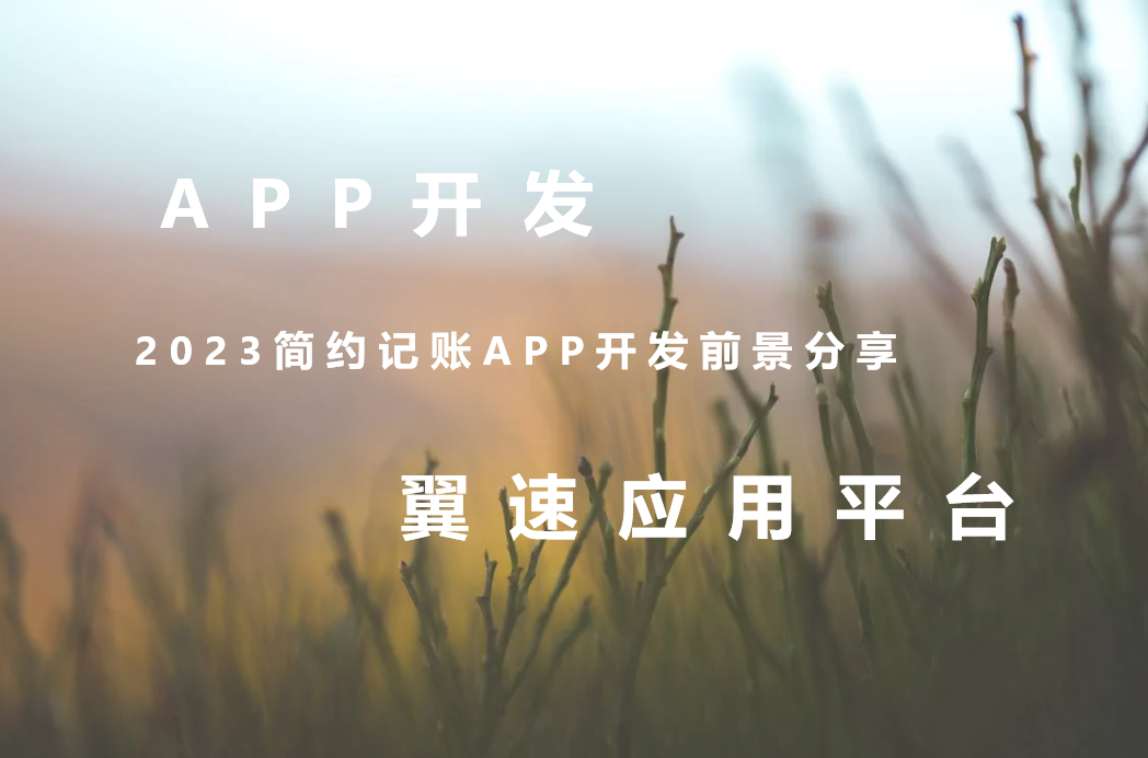2023简约记账APP开发前景分享
