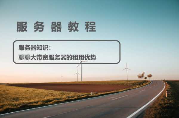 服务器知识：聊聊大带宽服务器的租用优势
