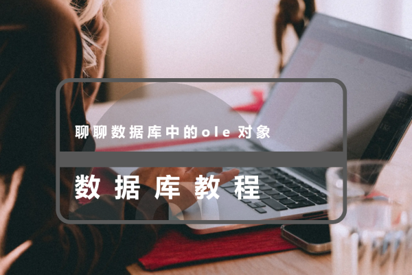 聊聊数据库中的ole对象