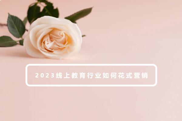 2023线上教育行业如何花式营销