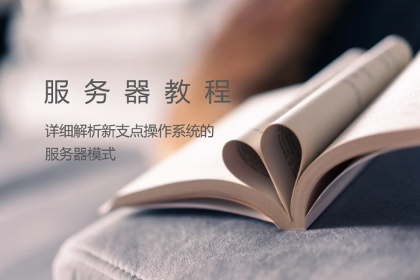 详细解析新支点操作系统的服务器模式