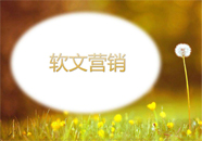 软文推广的技巧对一个网站发展的重要性