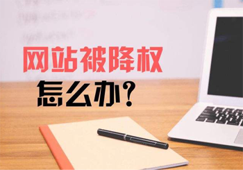 高端展示型网站设计制作常见降权原因