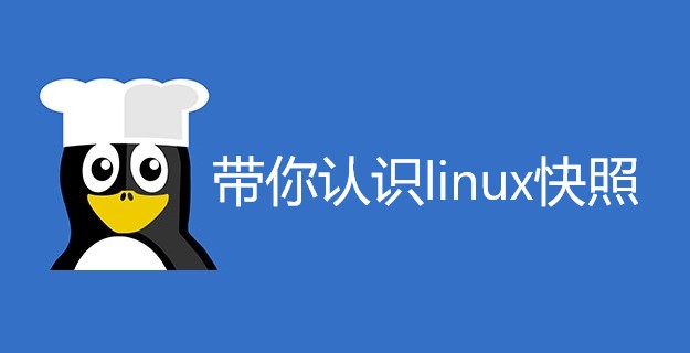 带你认识linux快照