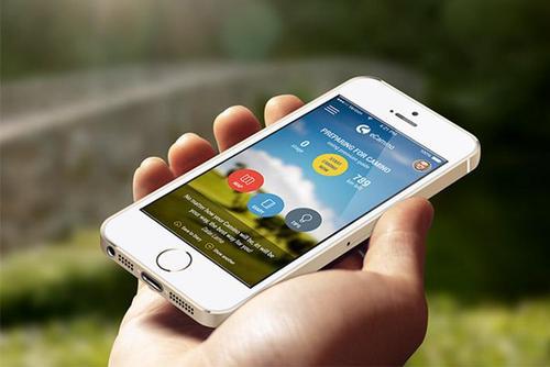 2022年进行APP开发应选择定制还是APP模板？