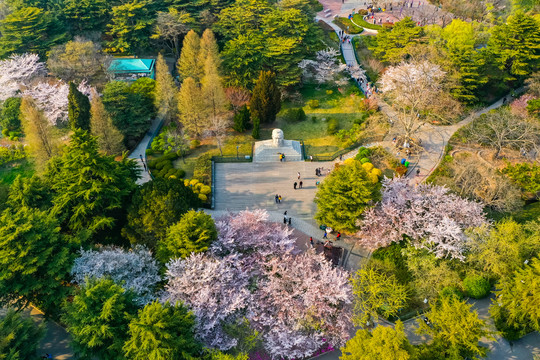 青岛各公园小程序开发指南来了！