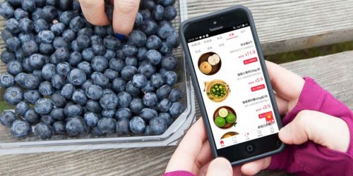 2022年进行生鲜电商APP开发的功能架构分享