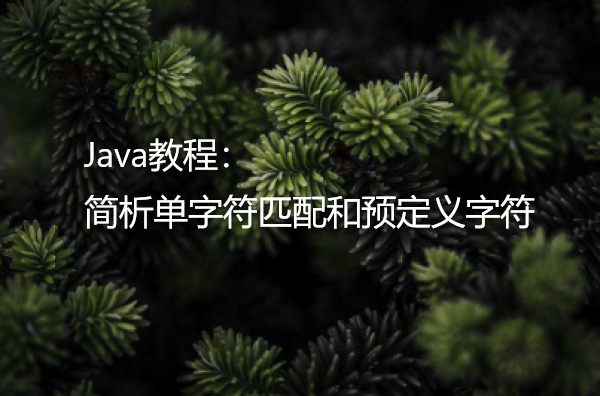 Java教程：简析单字符匹配和预定义字符