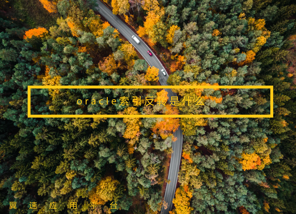 关于oracle索引反转的详细解析